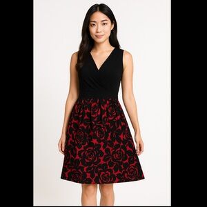 Sleeveless Black &Red Enfocus Dress